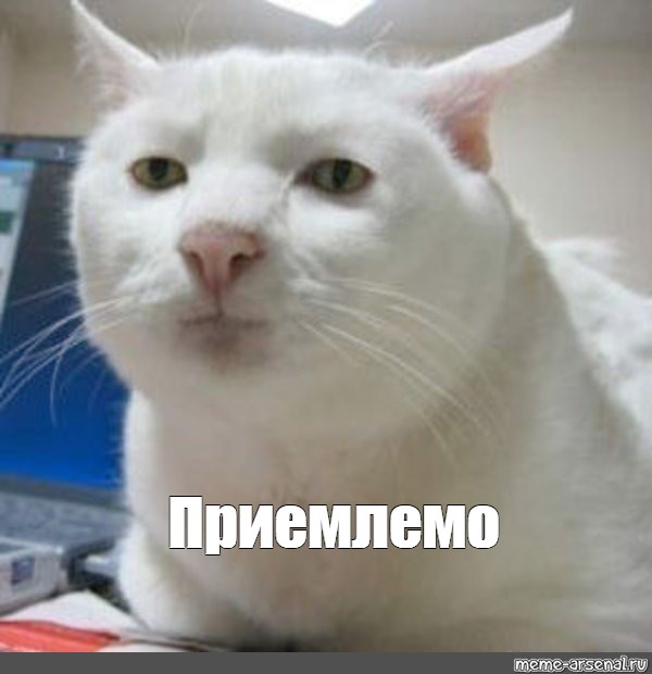 Весёлый полтишок 20.04.22
