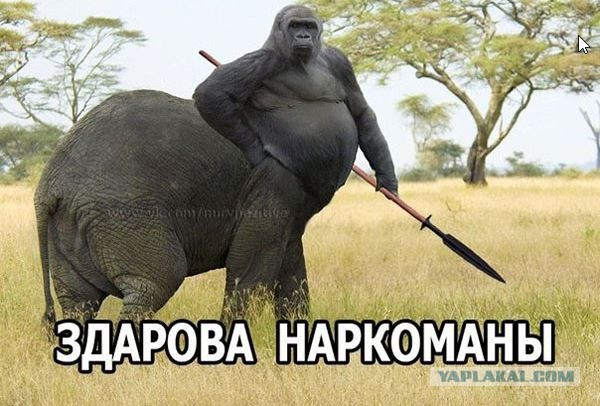 Смешались в кучу...