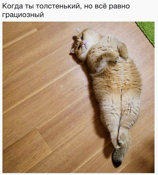 Картинки и мемы, начало праздников