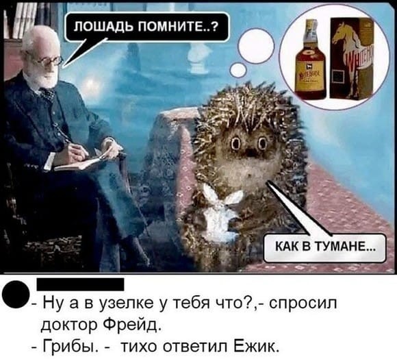 Помните кобылку?