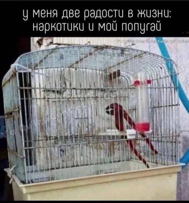Так себе картинки 06.08.22