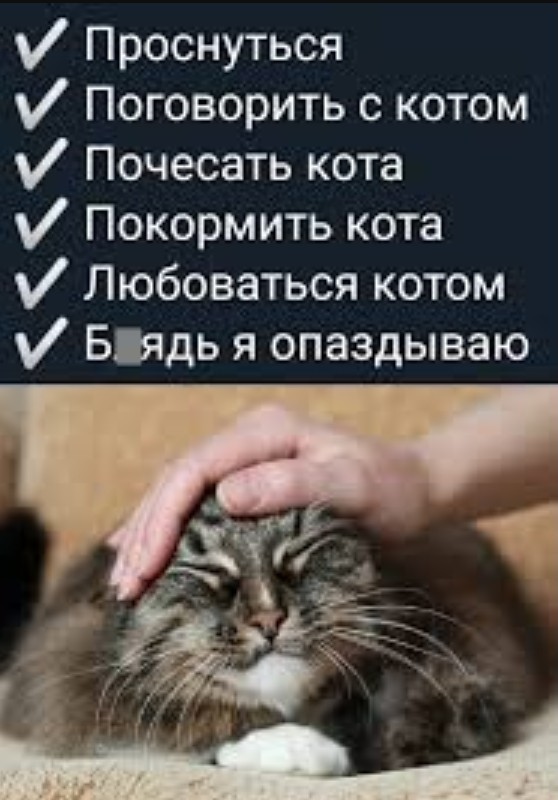 Зачем женщины забывают свое белье у парней дома?