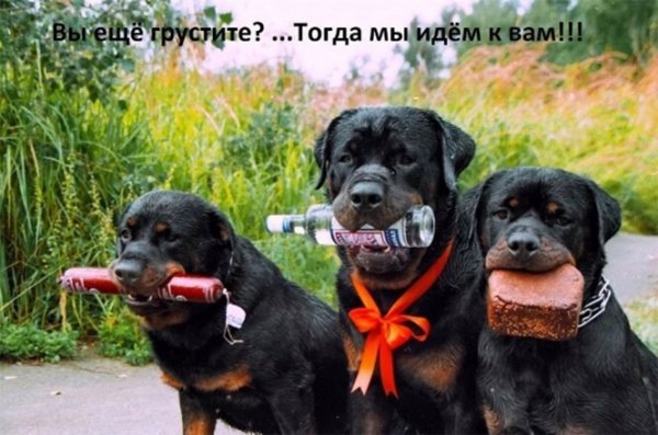 Прикольные и просто красивые картинки 19.09.2022