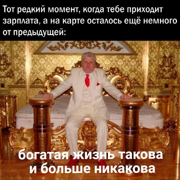 Весёлый полтишок  26.10.22