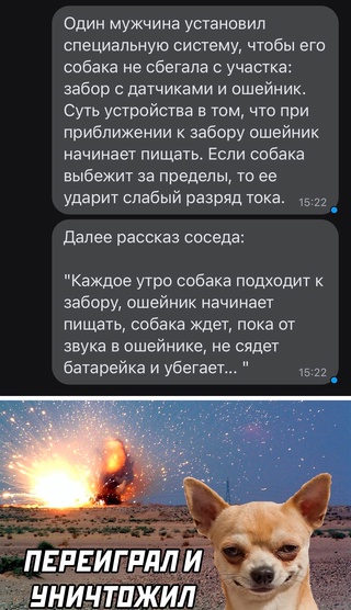 Картинки и мемы для настроения - 133