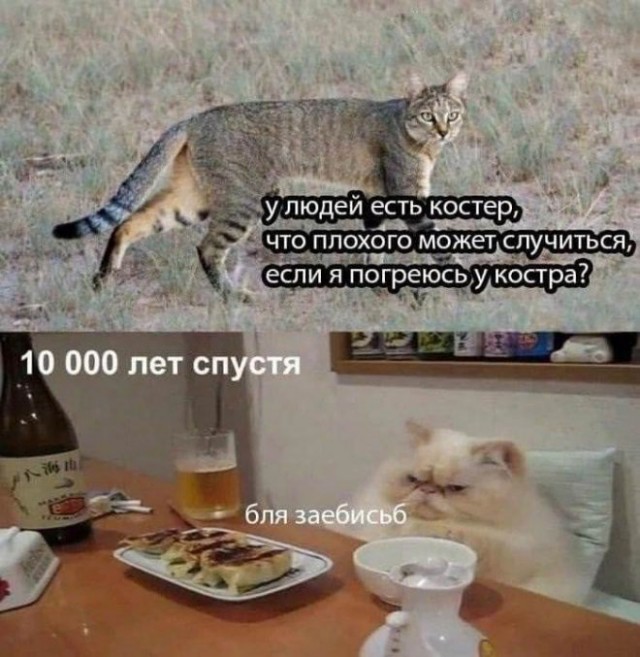 Картинки и мемы, выходные продолжаются
