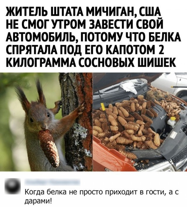 Картинки и мемы, всяко разно - 181