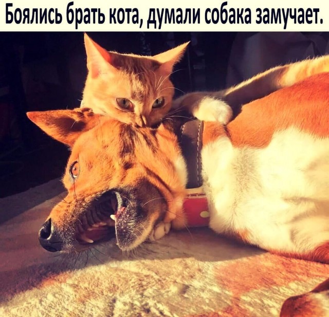 Тринадцатая подборка самых баянистых баянов! Ностальгируем...
