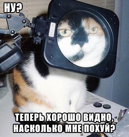 Голова на ножках