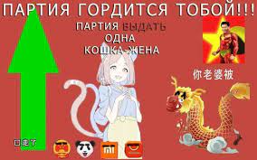 Минцифры предложило создать в РФ единую систему видеонаблюдения за 12 миллиардов рублей