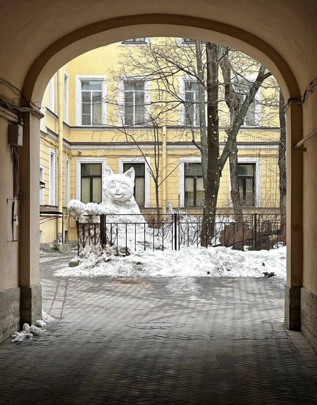 Жизнь домашнего приюта "Котоленд" 428