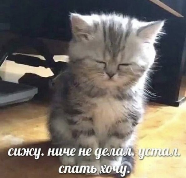 Всего понемногу. От 31.05.2024