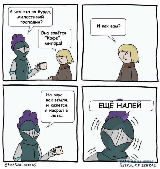 Весёлый полтишок 13.08.24