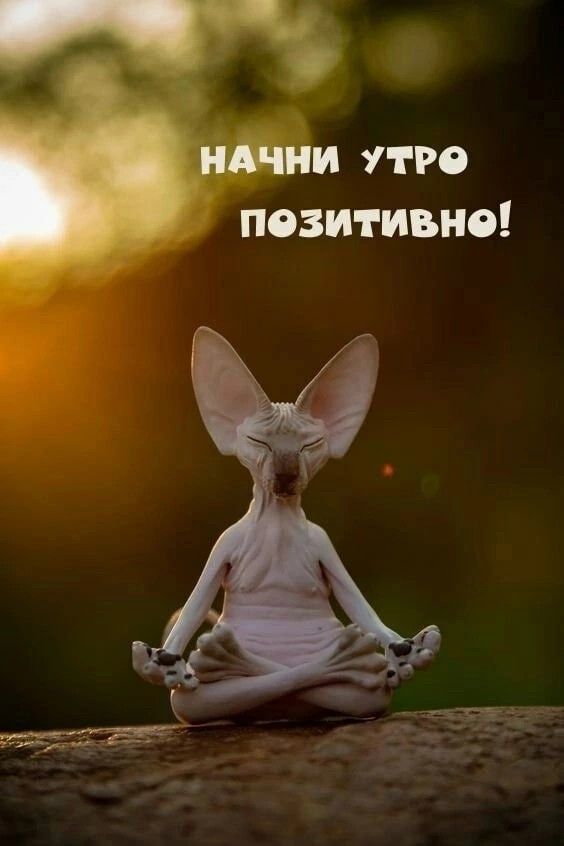 Прикольные и просто красивые картинки
