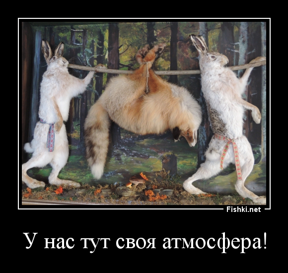 Задержан похититель кенгуру из российских зоопарков: им оказался карлик, фоторобот которого ранее создали оперативники.