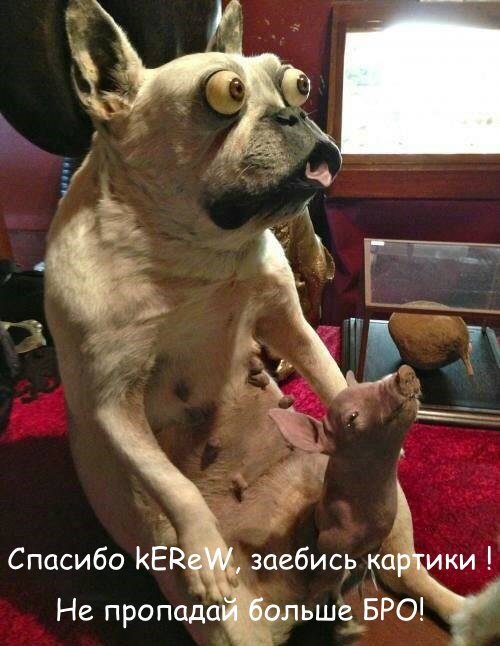 Десять