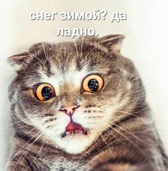 Зима близко!