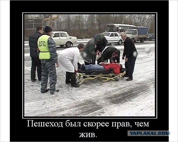 Экс-заместитель начальника УГИБДД УМВД России по Псковской области Юрий Шестаков на автомобиле сбил детей