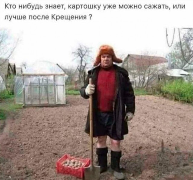 Так себе картинки 15.01.25