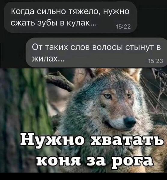 Завалялось тут случайно немного забавных картинок