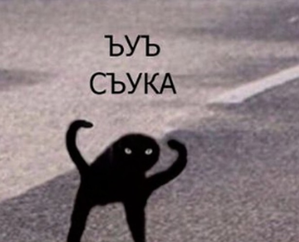 Виноградные умы мыслят одинаково
