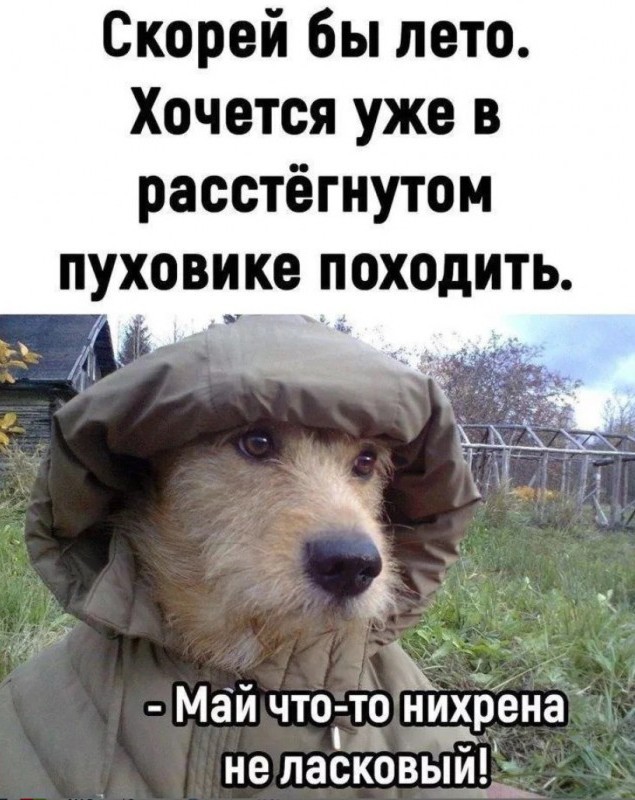 Скоро лето