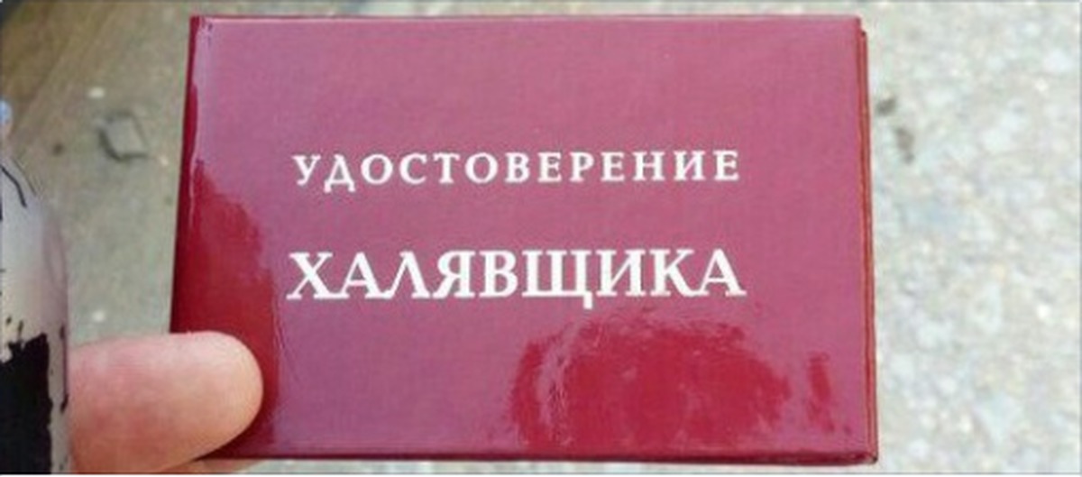 Зумеры называют советское поколение «халявщиками»