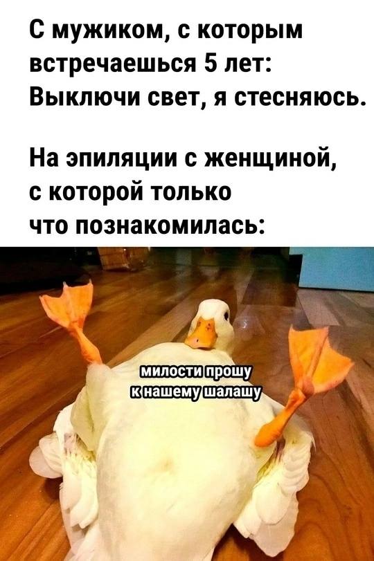 Картинки для деградации 29 (разной степени свежести)