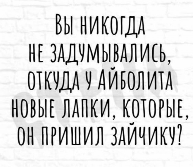 Картинки для деградации 31 (разной стпени свежести)