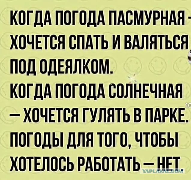 Веселые картинки в понедельник (22.09)