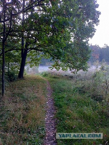 Клуб говорунов (литературный)