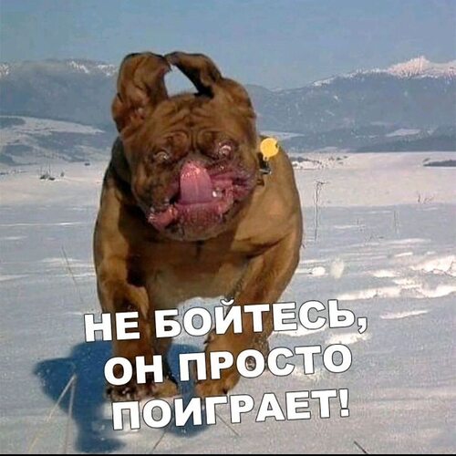 Обыкновенная рыбалка