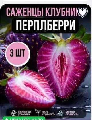 Бабушки массово скупают саженцы несуществующих растений на маркетплейсах