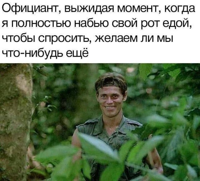 Картинки для деградации 229 (разной степени свежести)