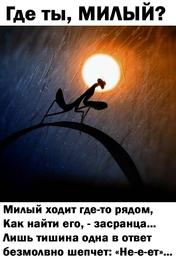 Ну и где его носит?!