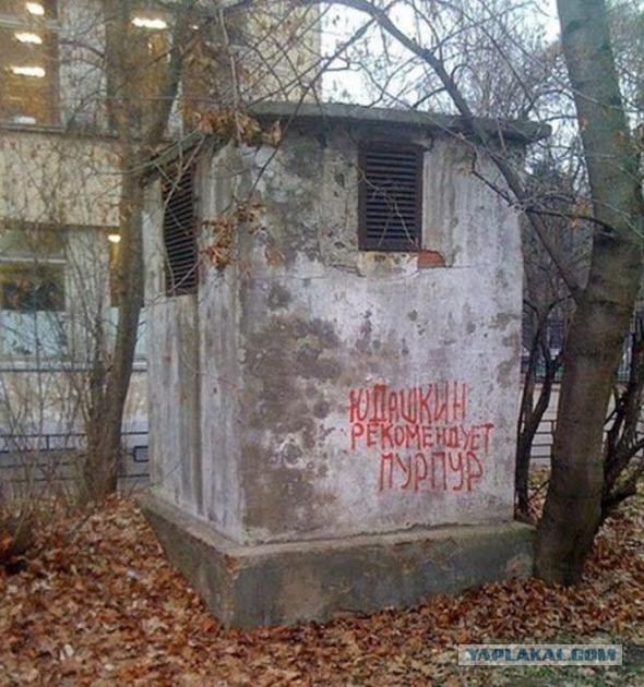 Картинки, объявления - 2