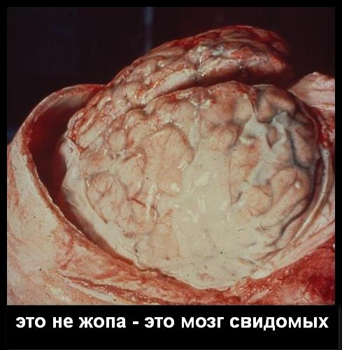 Феерические укры!