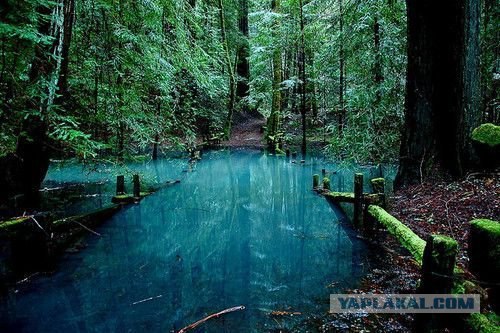 Мне нравится природа