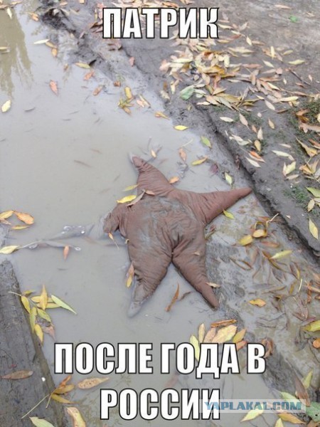 Прикольные пикчи