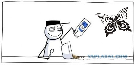 Завтрак