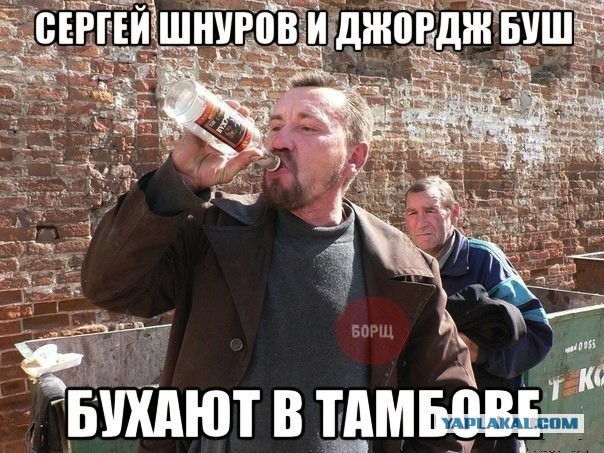 Двойники знаменитостей