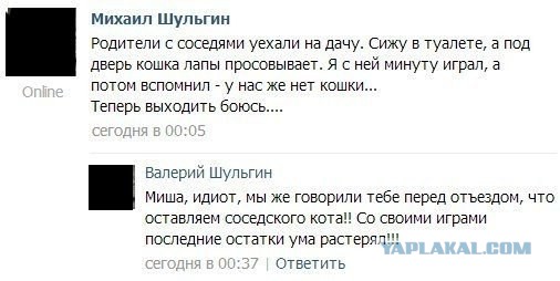 Смешные комментарии из соцсетей