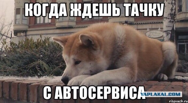 Автоюмор