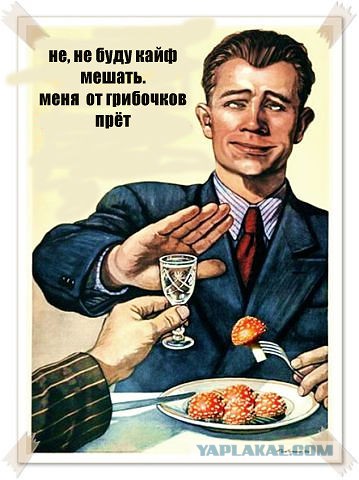 Немного картинок в пятницо.