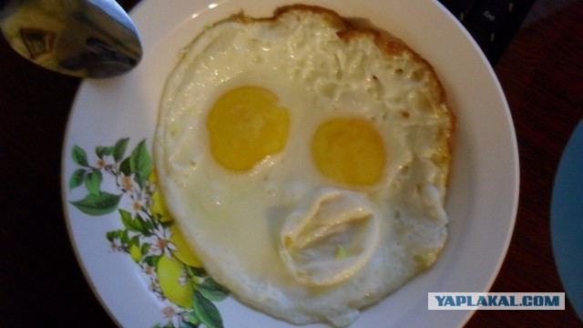 Мир глазами женщин