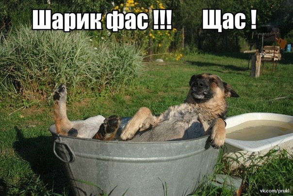 Картинки разные
