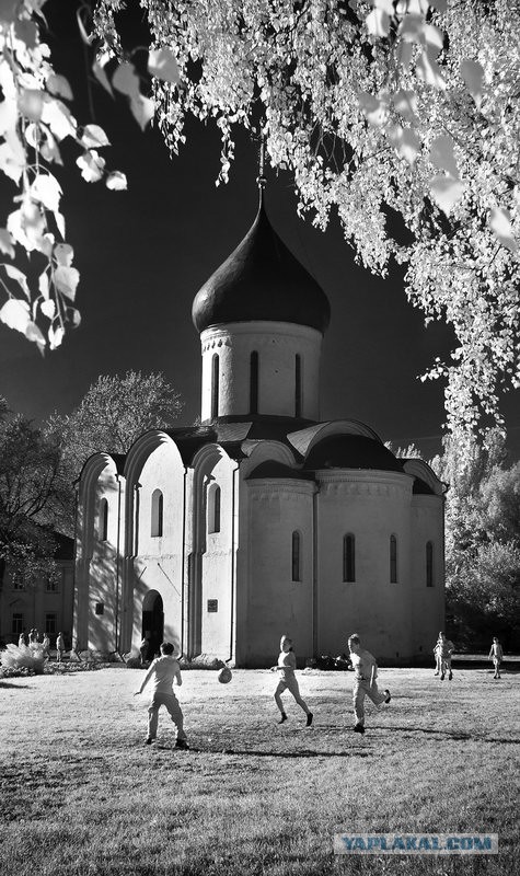 20 фотографий, доказывающих, что цвет не важен