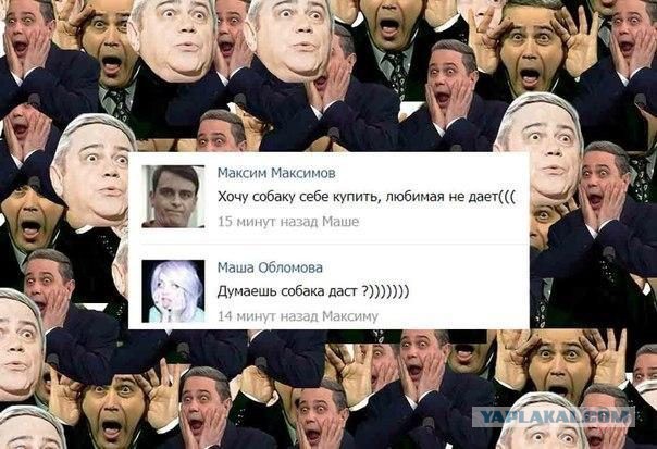 Ужасы и приколы из соцсетей 18+