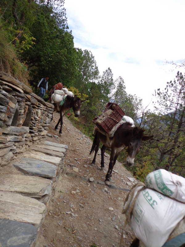 25 райских мест для интровертов