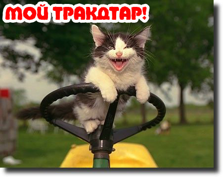 Вторничный котомёт!
